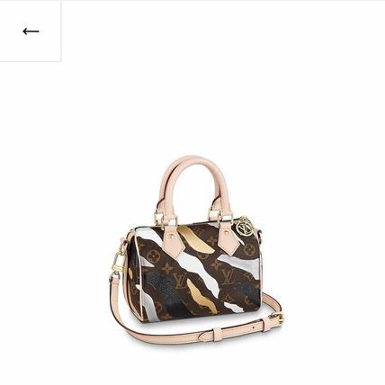 Louis Vuitton SPEEDY Handbags M45202 