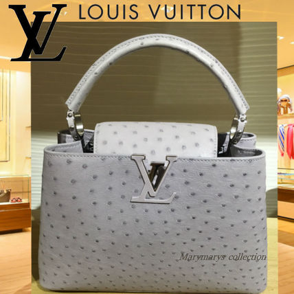 Louis Vuitton Ostrich Leather 2WAY Leather Elegant Style Crossbody 