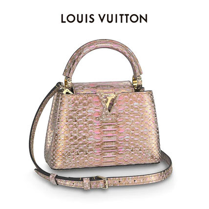Louis Vuitton CAPUCINES Capucines Mini N98089 