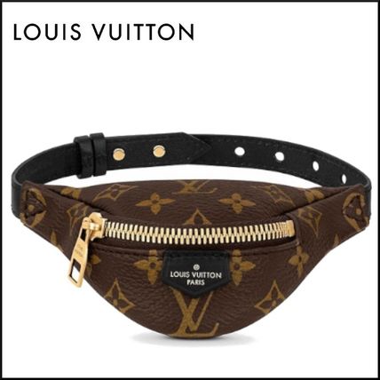 Louis Vuitton 2020 SS Louis Vuitton More Bags M6562A 