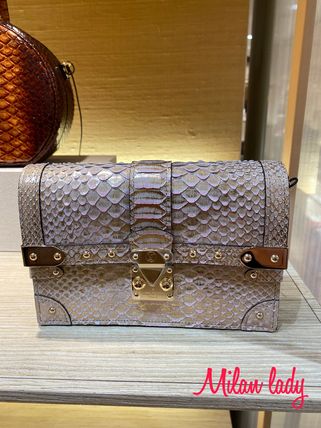 Louis Vuitton Party Style Elegant Style Formal Style Shoulder Bags N98134 