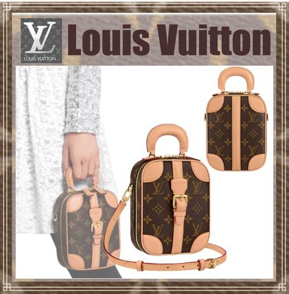 Louis Vuitton MONOGRAM 2019 20AW Vertical Trunk Pochette M63913 