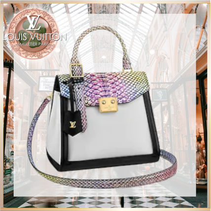 Louis Vuitton Shoulder Bags N97351 