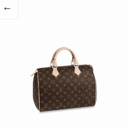 Louis Vuitton SPEEDY Handbags M41108 