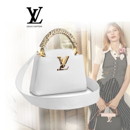 Louis Vuitton CAPUCINES 2019 20AW Capucines Mini N98477 