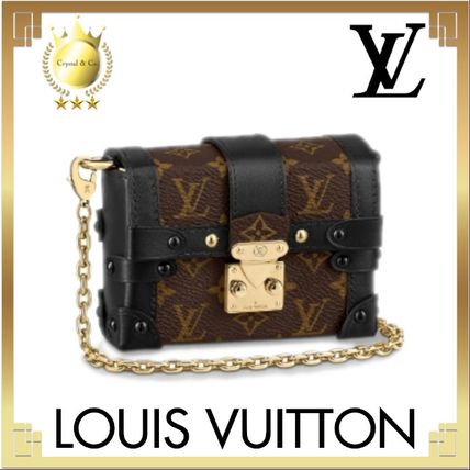 Louis Vuitton MONOGRAM 2020 SS Monogram Casual Style Calfskin Canvas Bag in Bag 2WAY 
