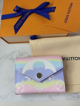 Louis Vuitton 2020 SS Monogram Accessories 