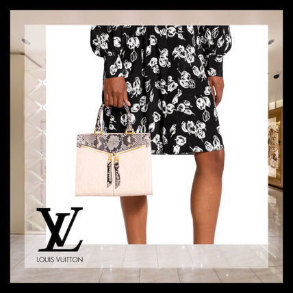 Louis Vuitton Capucines Pm N96237 