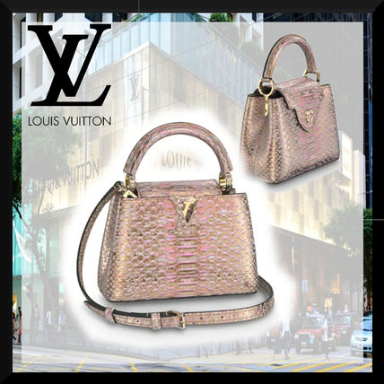 Louis Vuitton CAPUCINES Monogram Leather Elegant Style Logo Handbags N98089 