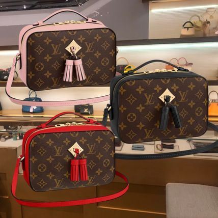 Louis Vuitton MONOGRAM 2019 20AW Shoulder Bags M43559 M44442 M43556 M43555 