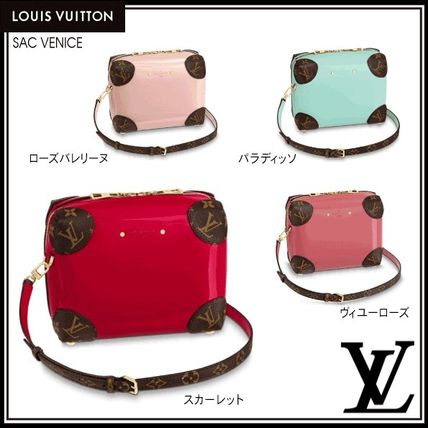 Louis Vuitton VENICE Monogram Plain Leather Crossbody Shoulder Bags 