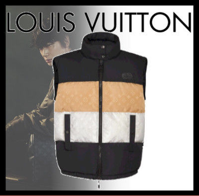 Louis Vuitton 2020 Cruise Down Vest 1A60NE 