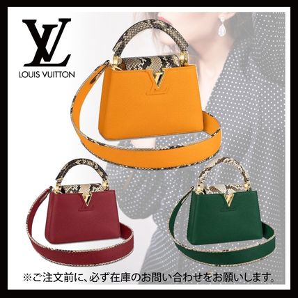 Louis Vuitton CAPUCINES Capucines Mini N97075 N97074 N97076 