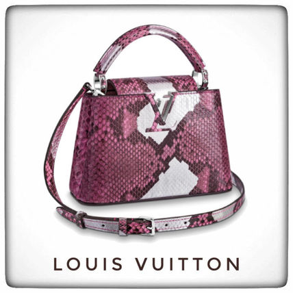 Louis Vuitton CAPUCINES 2020 21AW Casual Style 2WAY Party Style Office Style Python N95887 