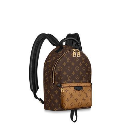 Louis Vuitton 2019 20AW Palm Springs Pm M44870 