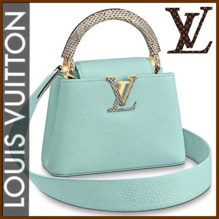 Louis Vuitton CAPUCINES 2019 20AW Capucines Mini M55922 