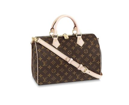 Louis Vuitton SPEEDY 2019 20AW Monogram Handbags N41367 N41373 M41112 