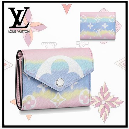 Louis Vuitton MONOGRAM 2020 SS Monogram Canvas Blended Fabrics Leather Logo Card Holders M69341 