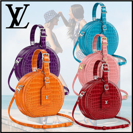 Louis Vuitton Casual Style Crocodile 2WAY Party Style Elegant Style N90260 N95555 N95054 N94160 N98149 