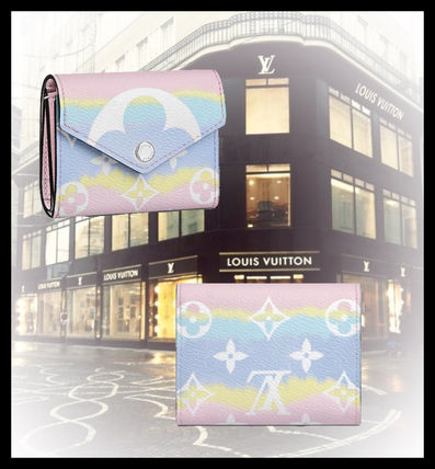 Louis Vuitton Monogram Tie dye Leather Small Wallet Logo Coin Cases 