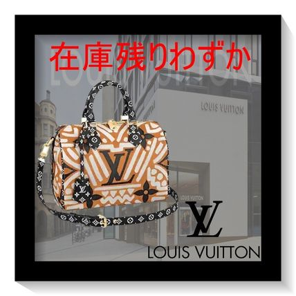 Louis Vuitton 2020 21AW 2WAY Leather Crossbody Logo Shoulder Bags M56588 
