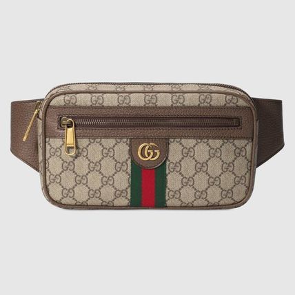 GUCCI Ophidia 2020 21AW Bags 519308 96IWS 8745 75 