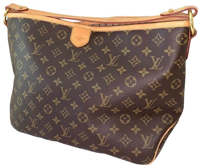 Louis Vuitton Delightful Pm Monogram Hobo Bag