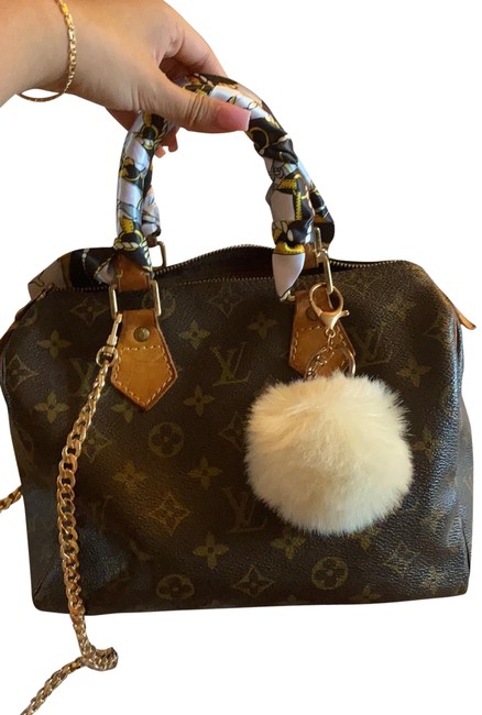 Louis Vuitton Speedy 25 Satchel
