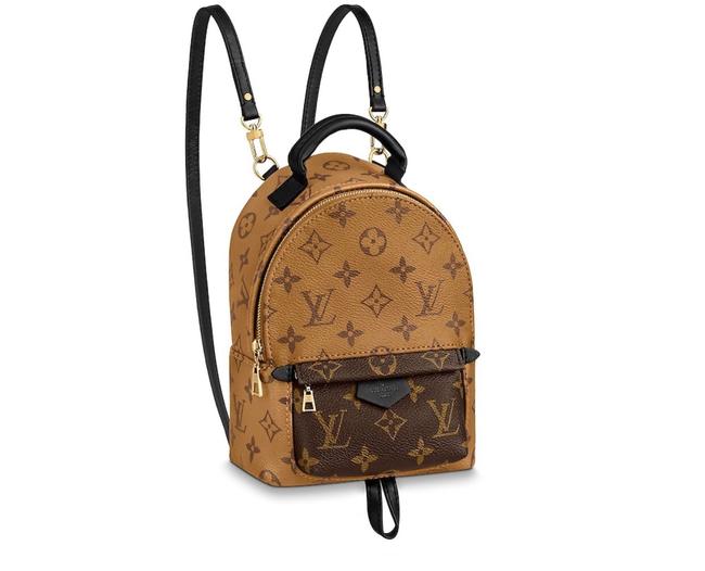 Louis Vuitton Palm Springs Mini Reverse Backpack