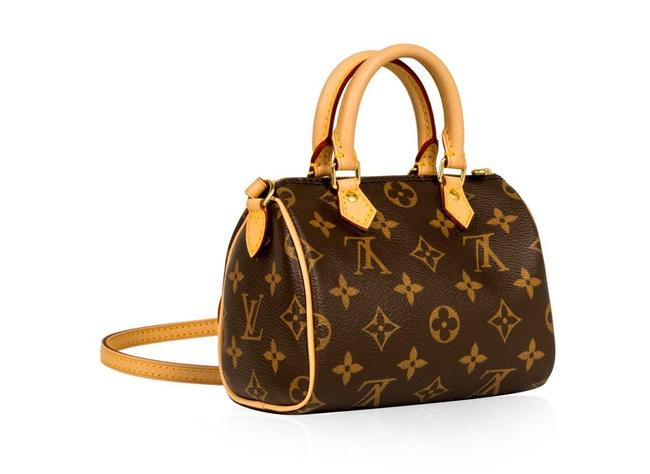 Louis Vuitton Speedy Nano Rare Brown Canvas Cross Body Bag