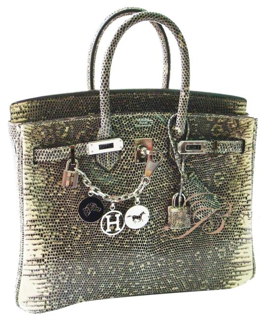 Hermes Birkin 25 Ombre Lizard Diaper Bag