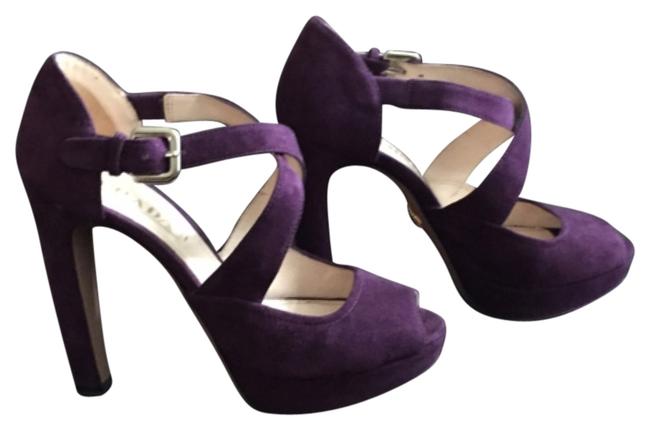 Prada Plum Suede Calzature Donna Pumps