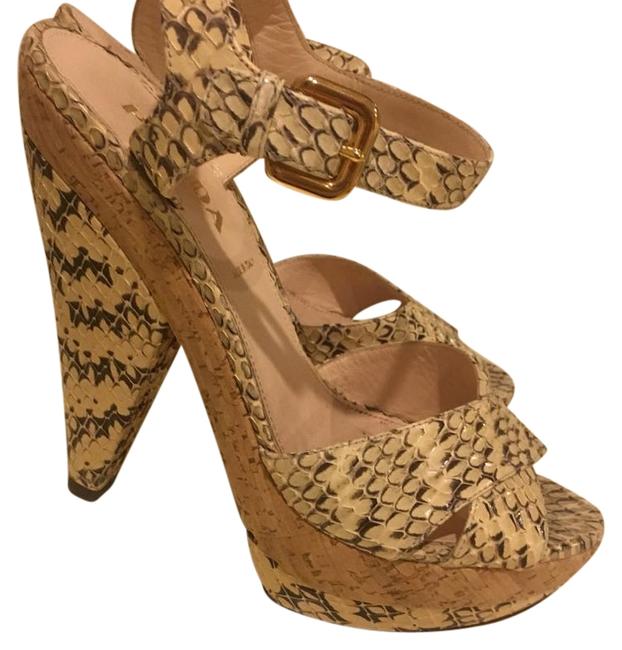 Prada Black Cream Wood Formal Shoes