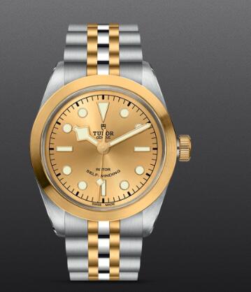 Replica Watch New TUDOR Black Bay 36 S&G Swiss Dive Watch M79503 0002 Yellow gold bezel Steel and yellow gold bracelet