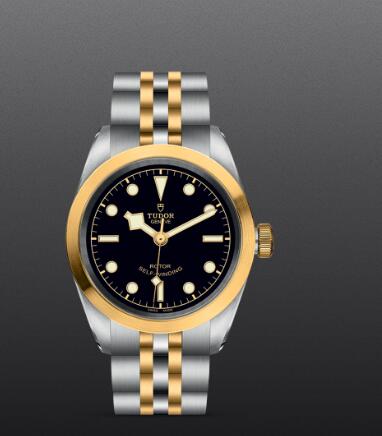 Replica Watch New TUDOR Black Bay 32 S&G Swiss Dive Watch M79583 0001 Yellow gold bezel Steel and yellow gold bracelet