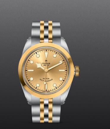 Replica Watch New TUDOR Black Bay 32 S&G Swiss Dive Watch M79583 0002 Yellow gold bezel Steel and yellow gold bracelet
