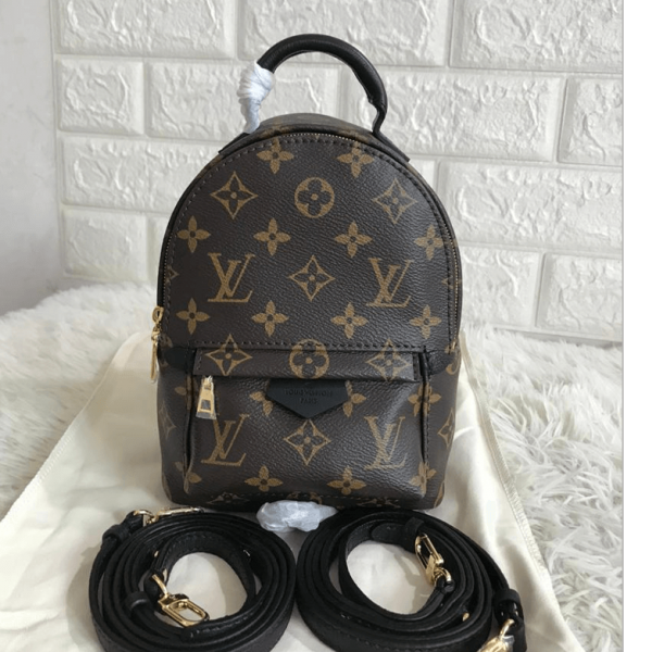 Wholesale 2020 Louis Vuitton new zipper version Replica Handbags Louis Vuitton Backpack