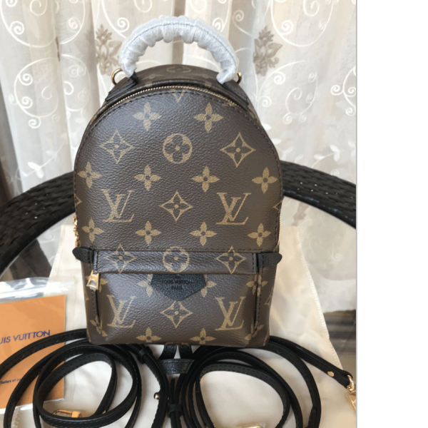 Louis Vuitton M44873 Palm Springs Mini Monogram 7 Star Brown Replica Handbags Louis Vuitton Palm