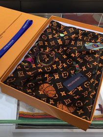 2020 louis vuitton top quality cashmere scarf L546 coffee