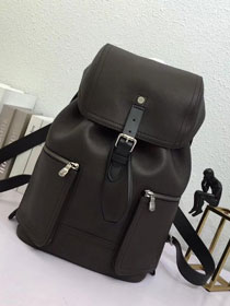 Louis vuitton original calfskin canyon backpack M54960 dark coffee