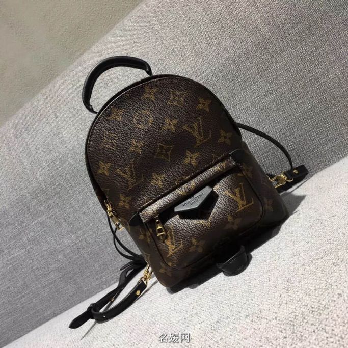 Replica LV Backpack Bags Backpack Mini M41562