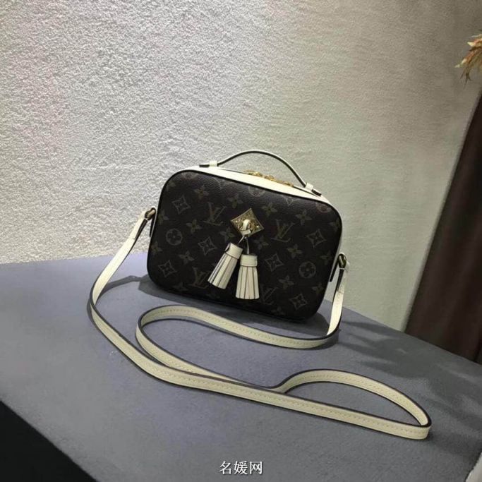 Replica LV Shoulder Bags 18 Saintonge Crossbody M43559