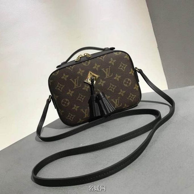 Replica LV Shoulder Bags 18 Saintonge Crossbody M43555