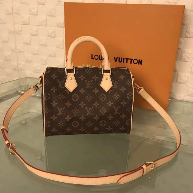 Replica LV Tote Bags M41113 Speedy 25 Monogram