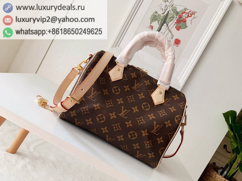 Replica LV Speedy 25 Pillow Bag M41113