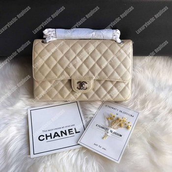 Replica Chanel Medium Classic Flap Bag Iridescent Beige