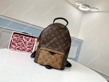Replica LV Palm Springs PM Monogram Reverse