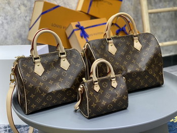 Replica Replica Louis Vuitton Speddy Bags