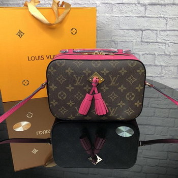 Replica Louis Vuitton M43557 Saintonge Monogram Coated Canvas and Smooth Calfskin Leather Freesia