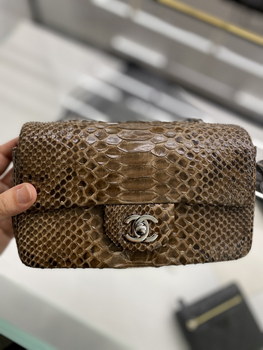 Replica 2022 New Python Chanel Classics Falp Shoulder Bag 20cm and 25cm 002